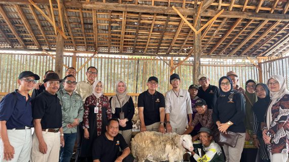 Dompet Duafa Jogja Adakan Program Inti-Plasma Breeding Domba